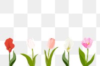 Tulip flowers png border frame, transparent background