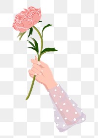 Hand holding flower png, peony in pink illustration on transparent background