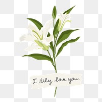 Lily flower png collage element, aesthetic diary sticker on transparent background