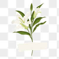 Lily flower png collage element, aesthetic diary sticker on transparent background