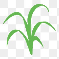 Nature png sticker, minimal grass design, transparent background