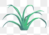 Grass png clipart, semi real digital paint design, transparent background