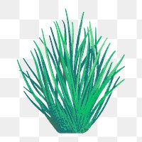 Nature png sticker, minimal grass design, transparent background