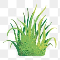 Nature png sticker, minimal grass design, transparent background