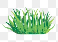 Nature png sticker, minimal grass design, transparent background