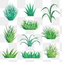 Grass png clipart, aesthetic nature design, transparent background set