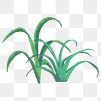 Nature png sticker, minimal grass design, transparent background