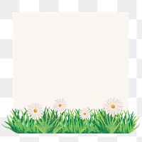 Daisy flower png frame background, simple nature design, transparent background