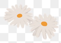 Nature png sticker, minimal Daisy flower design, transparent background