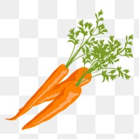 Carrots png sticker, realistic illustration, transparent background