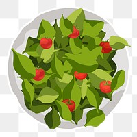 Spinach salad png sticker, realistic illustration, transparent background