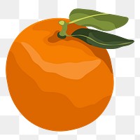 Orange png sticker, realistic illustration, transparent background