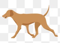 Cute dog png sticker, Labrador Retriever, transparent background