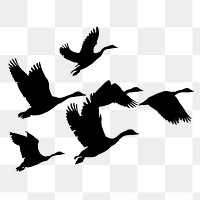 Flying birds png silhouette sticker, animal illustration on transparent background