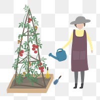 Woman watering flower png clipart, gardening hobby illustration