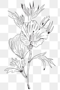 Flower Black And White Images | Free Vectors, PNGs, Mockups ...
