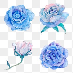 Blue Flower PNG Images | Free Vectors, PNGs, Mockups & Backgrounds