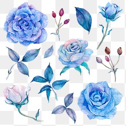 Blue Flower PNG Images | Free Vectors, PNGs, Mockups & Backgrounds