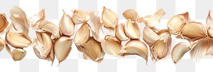 PNG Garlic border background ingredient white.