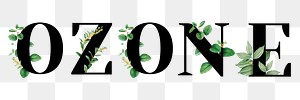 Botanical OZONE png word typography