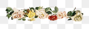 Blooming colorful flowers transparent png