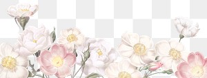 Elegant floral banner design transparent png