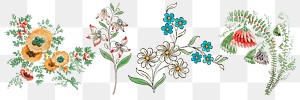 Vintage flower illustration png set, featuring public domain artworks