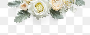 White rose flowers design element 