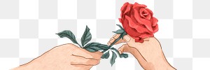 Valentine&rsquo;s couple exchanging rose png hand drawn illustration