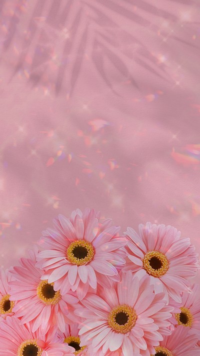 daisy iphone wallpaper tumblr