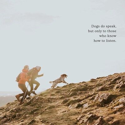 Pet  quote Instagram post template