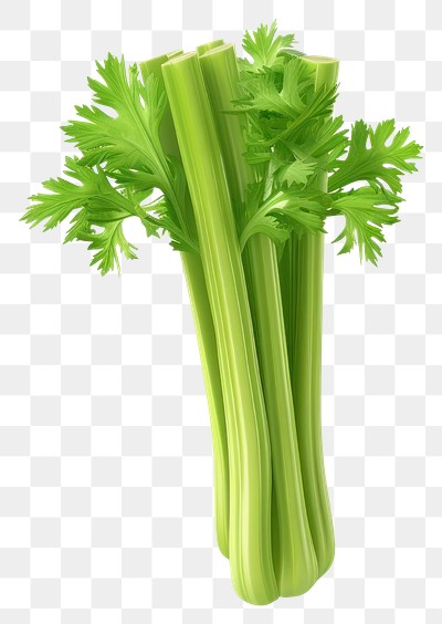 PNG Fresh green celery stalk illustration