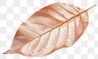 PNG Elegant metallic leaf decor