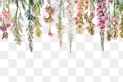 PNG Elegant hanging floral arrangement