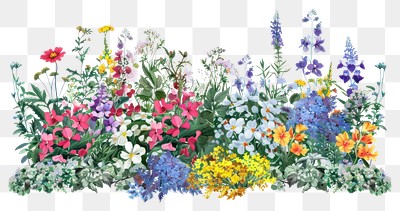 PNG Colorful garden wildflower illustration