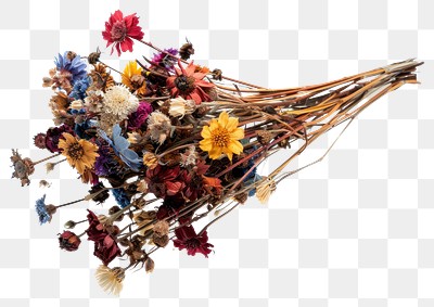 PNG Colorful dried flower bouquet arrangement