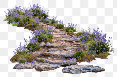 PNG  Rocky path with blooming flowers