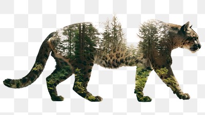 PNG  Leopard forest double exposure art