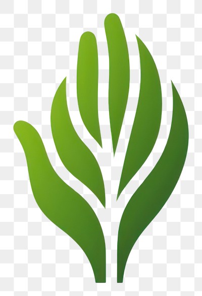 PNG  Green hand leaf logo design