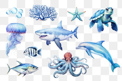 PNG watercolor sea life element set, transparent background