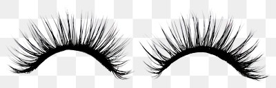 PNG Dramatic black false eyelashes pair