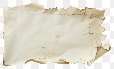 PNG Burnt parchment paper texture