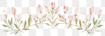 PNG Crowns with flowers as divider watercolor graphics pattern blossom.