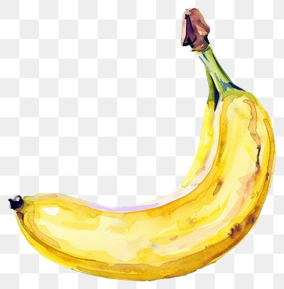 PNG  Vibrant watercolor banana illustration