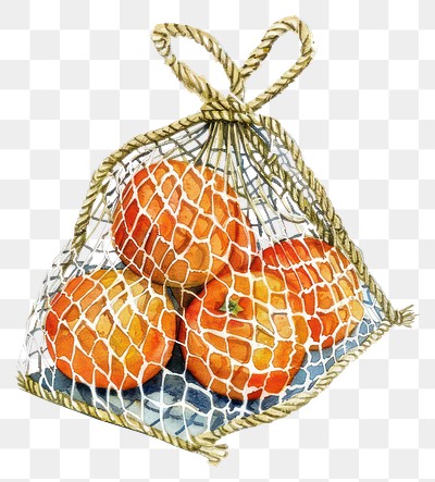 PNG  Oranges in net bag illustration