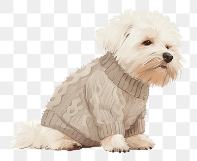 PNG Adorable dog wearing cozy sweater