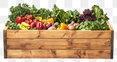 PNG Wooden raised bed filled with various vegetables and fruit produce planter eco-friendly.