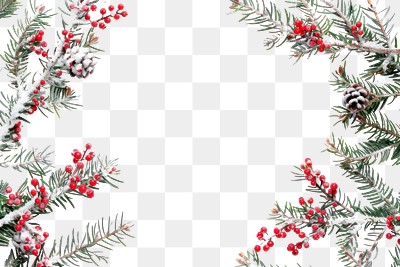 Christmas top border with snow-covered fir branches and red berries on a white background christmas accessories accessory.