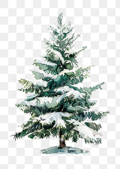 PNG Snow-covered watercolor Christmas tree