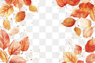 PNG Vector illustration of autumn leaves leaf golden watercolor.